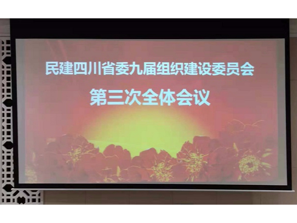 華程路安總經(jīng)理陳涌受邀民建四川省委九屆組織建設(shè)委員會(huì)第三次會(huì)議